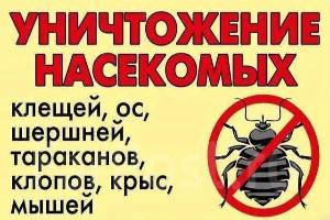 Уничтожение тараканов и клопов, муравьев. Дезинфекция и фумигация Город Владикавказ